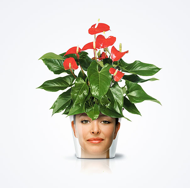 Funny and Creative Flower Pots by GOOD!