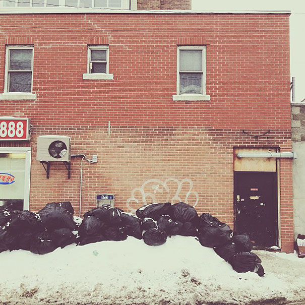 Can You Find Momo the Dog in These Photos?