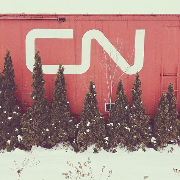 Can You Find Momo the Dog in These Photos?