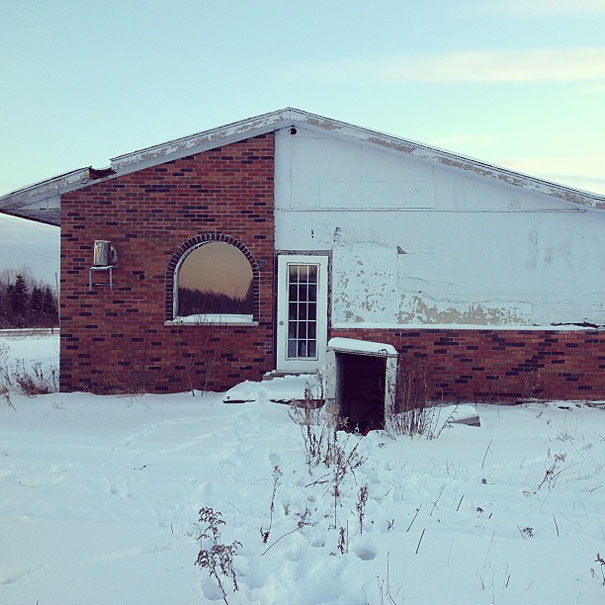 Can You Find Momo the Dog in These Photos?