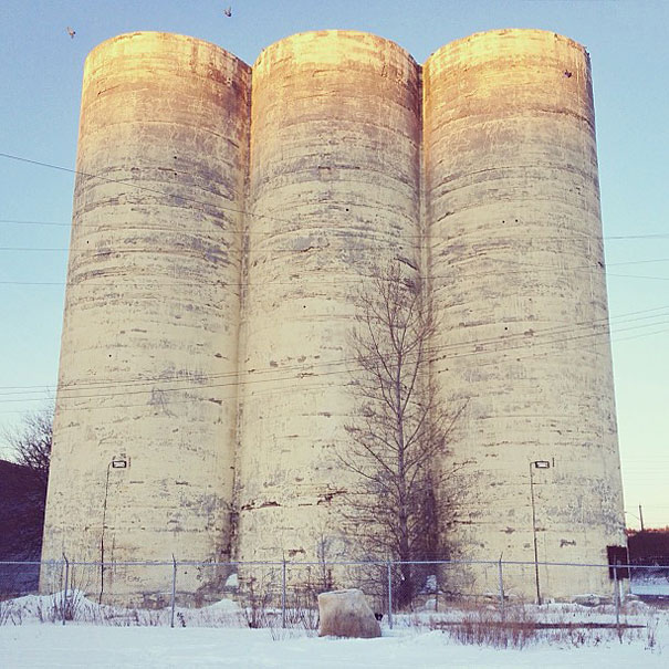 Can You Find Momo the Dog in These Photos?