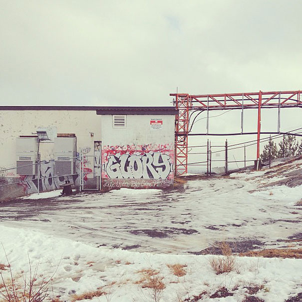 Can You Find Momo the Dog in These Photos?