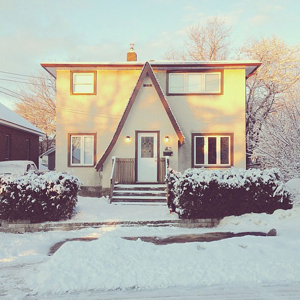 Can You Find Momo the Dog in These Photos?