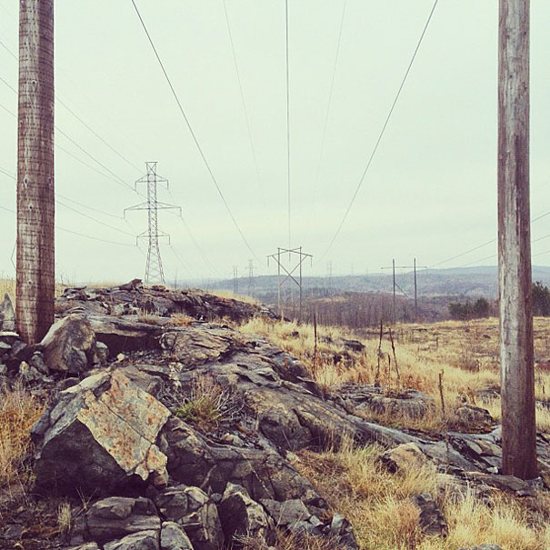 Can You Find Momo the Dog in These Photos?