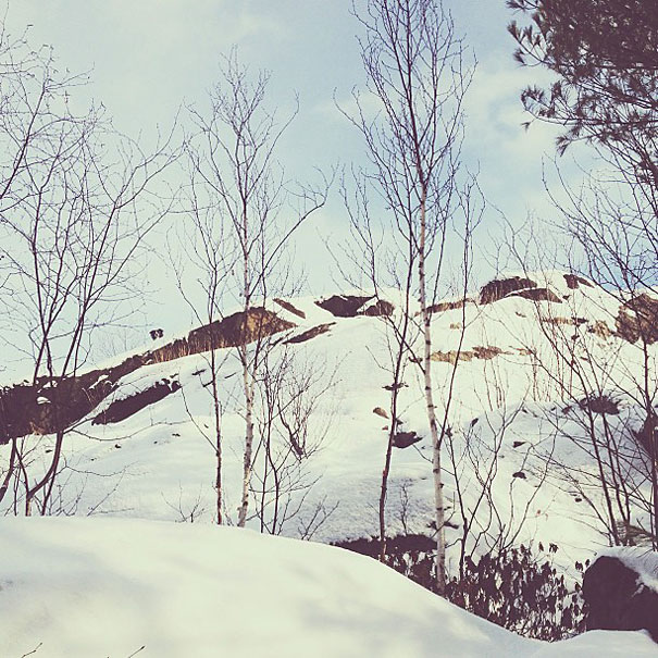 Can You Find Momo the Dog in These Photos?