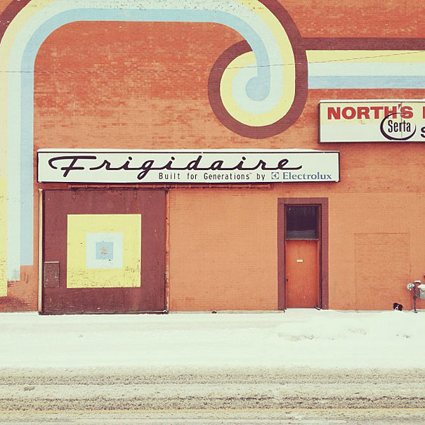 Can You Find Momo the Dog in These Photos? Can You Find Momo the Dog in These Photos?