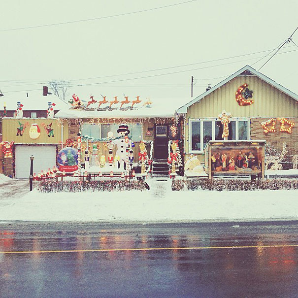 Can You Find Momo the Dog in These Photos? Can You Find Momo the Dog in These Photos?