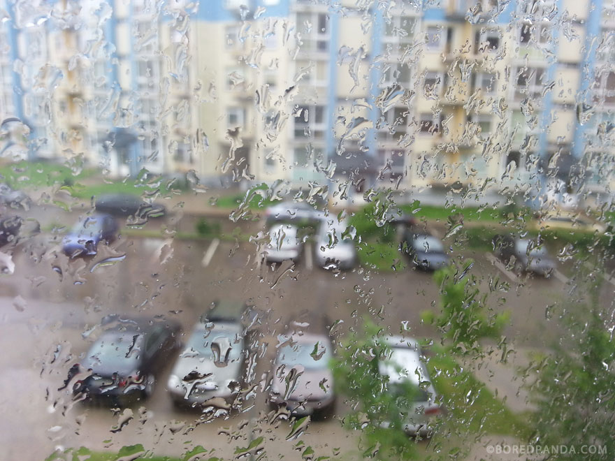 I Found A Blind Baby Sparrow Below My Balcony After A Storm