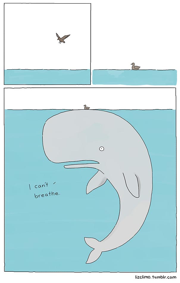 Simpsons Animator Liz Climo Creates Incredibly Cute Animal Comics on Tumblr Simpsons Animator Liz Climo Creates Incredibly Cute Animal Comics on Tumblr