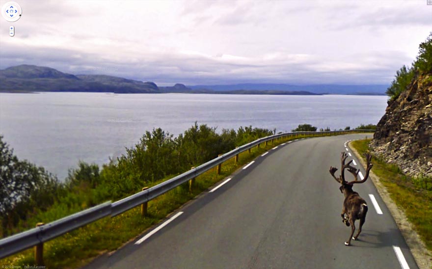 36 Strange and Funny Google Street View Photos