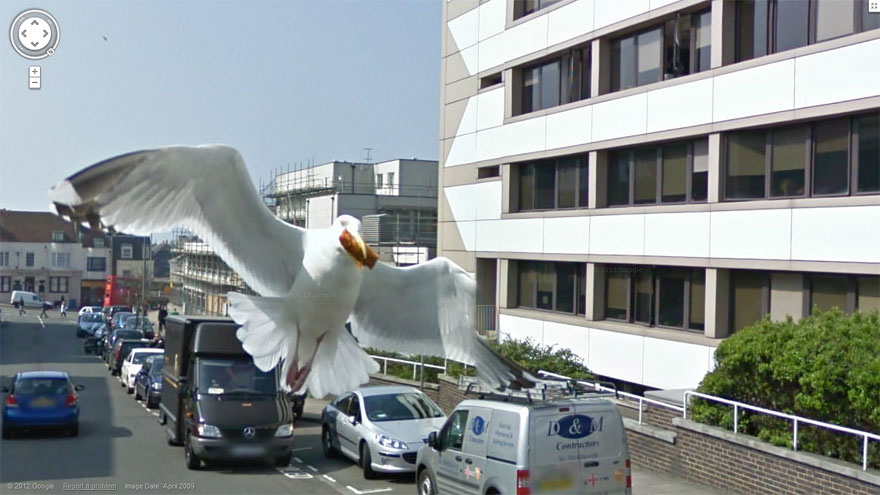 36 Strange and Funny Google Street View Photos 36 Strange and Funny Google Street View Photos