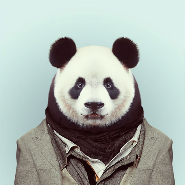 funny-zoo-animal-portraits-yago-partal-1