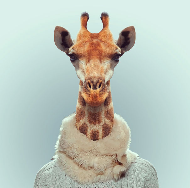 funny-zoo-animal-portraits-yago-partal-10