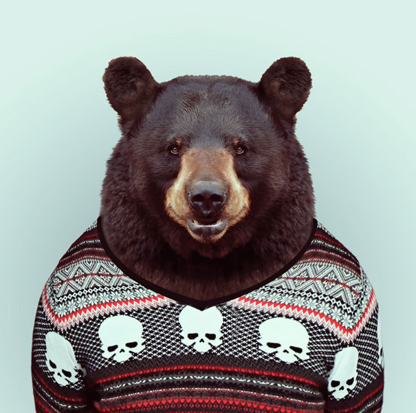 Hilarious Zoo Portraits by Yago Partal Hilarious Zoo Portraits by Yago Partal