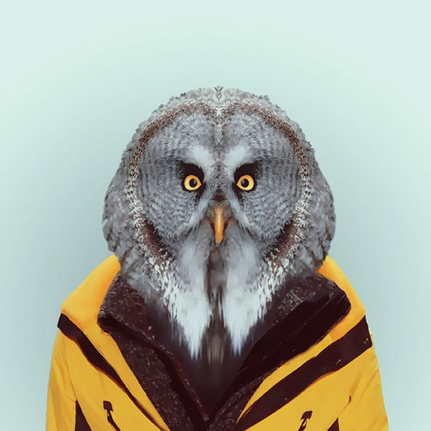 Hilarious Zoo Portraits by Yago Partal