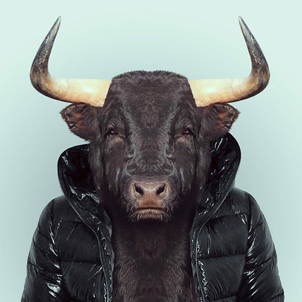 Hilarious Zoo Portraits by Yago Partal Hilarious Zoo Portraits by Yago Partal