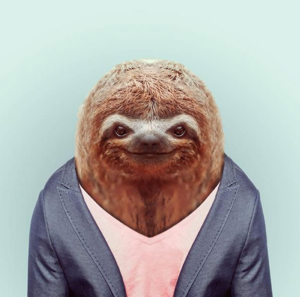 funny-zoo-animal-portraits-yago-partal-8 funny-zoo-animal-portraits-yago-partal-8