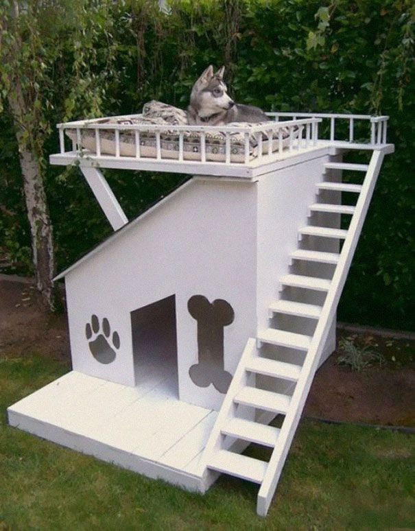 21 Furniture Ideas for Pet Lovers And Their Furry Friends 21 Furniture Ideas for Pet Lovers And Their Furry Friends