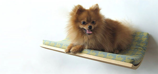 21 Furniture Ideas for Pet Lovers And Their Furry Friends 21 Furniture Ideas for Pet Lovers And Their Furry Friends