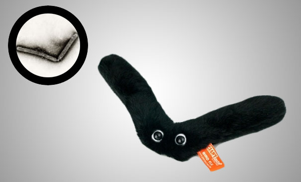 Giant Plush Microbes and Cells Giant Plush Microbes and Cells