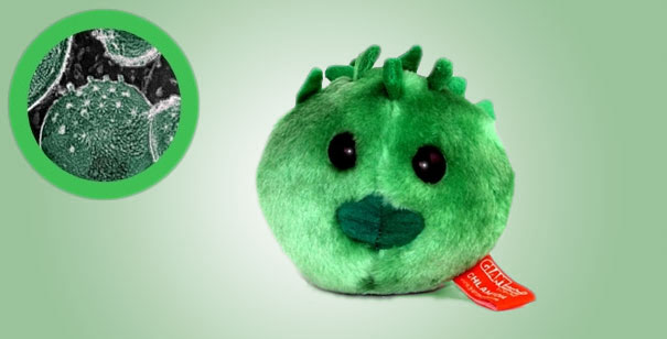 Giant Plush Microbes and Cells