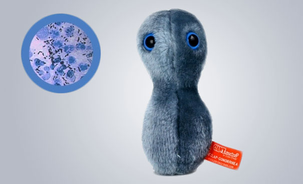 Giant Plush Microbes and Cells