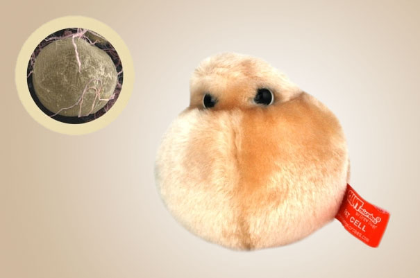 Giant Plush Microbes and Cells