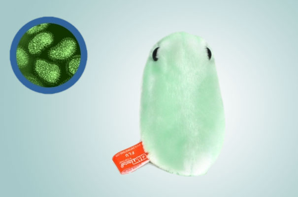 Giant Plush Microbes and Cells