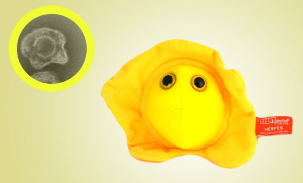 Giant Plush Microbes and Cells