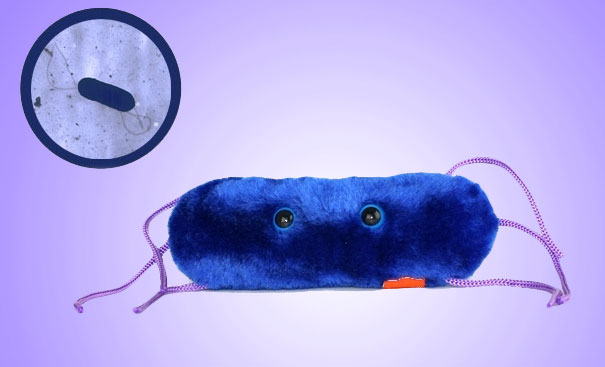 Giant Plush Microbes and Cells Giant Plush Microbes and Cells