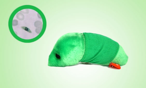 Giant Plush Microbes and Cells Giant Plush Microbes and Cells