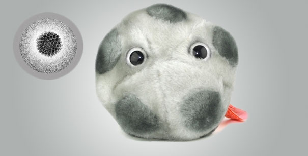Giant Plush Microbes and Cells