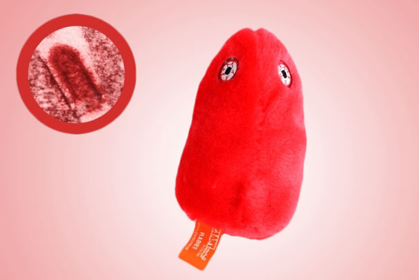 Giant Plush Microbes and Cells