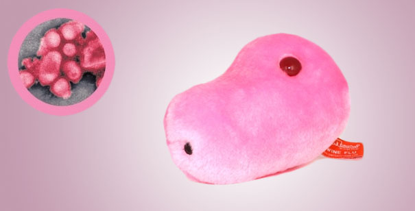 Giant Plush Microbes and Cells