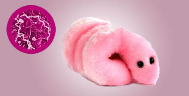 Giant Plush Microbes and Cells Giant Plush Microbes and Cells