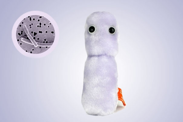 Giant Plush Microbes and Cells