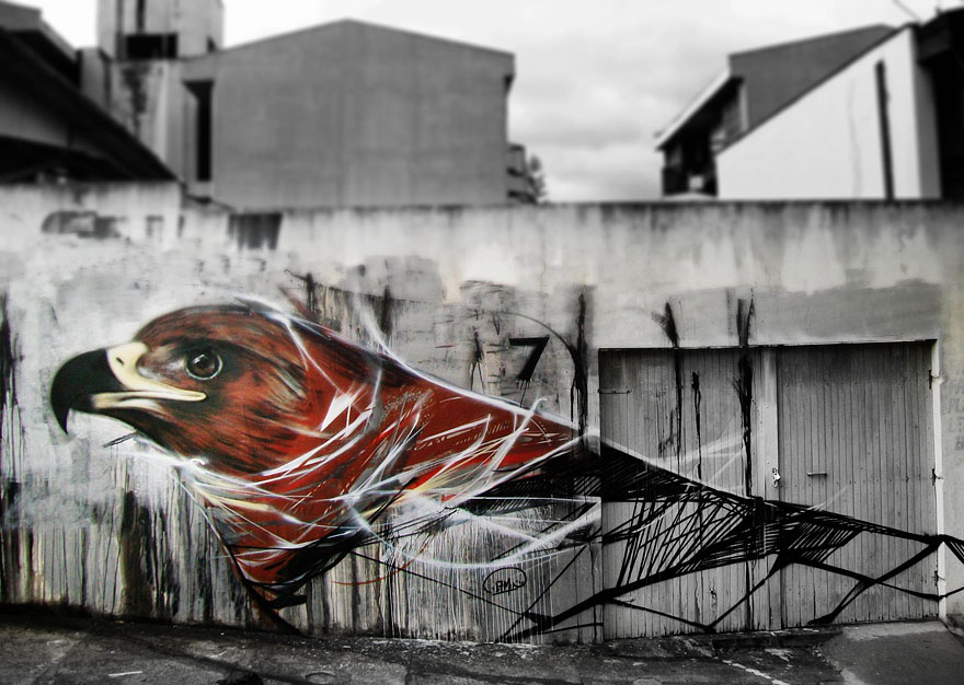Mesmerizing Graffiti Birds on the Streets of Brazil by L7m Mesmerizing Graffiti Birds on the Streets of Brazil by L7m