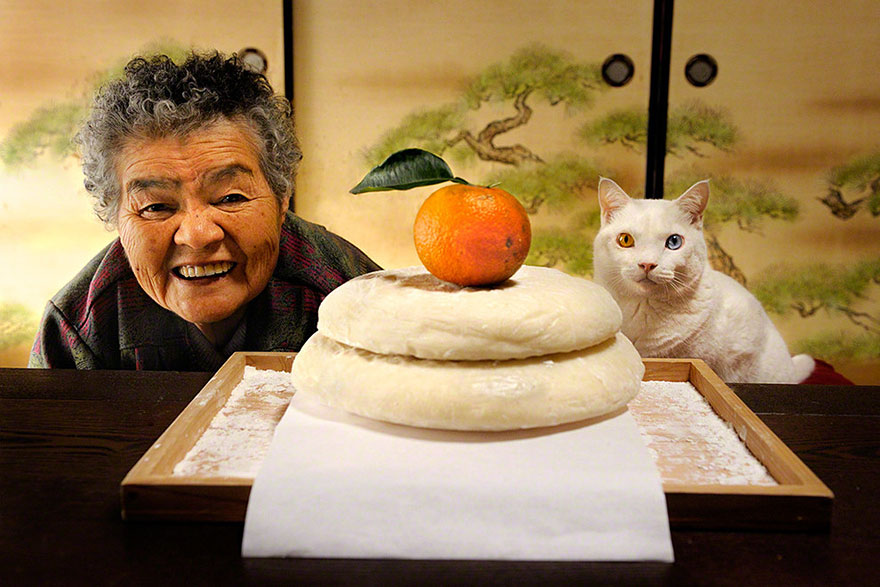 Beautiful Friendship Between a Grandmother and Her Odd-eyed Cat