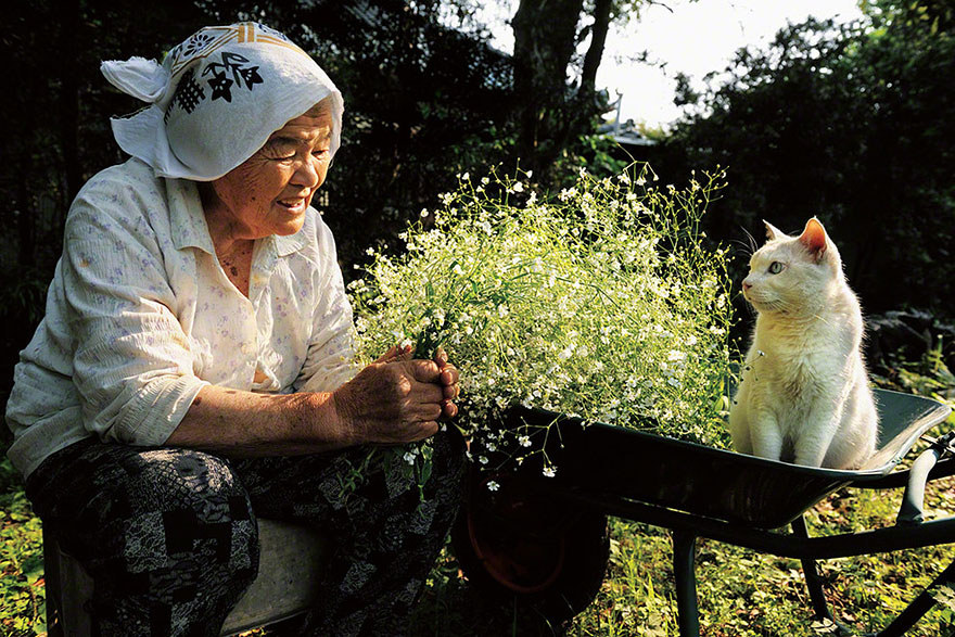 Beautiful Friendship Between a Grandmother and Her Odd-eyed Cat