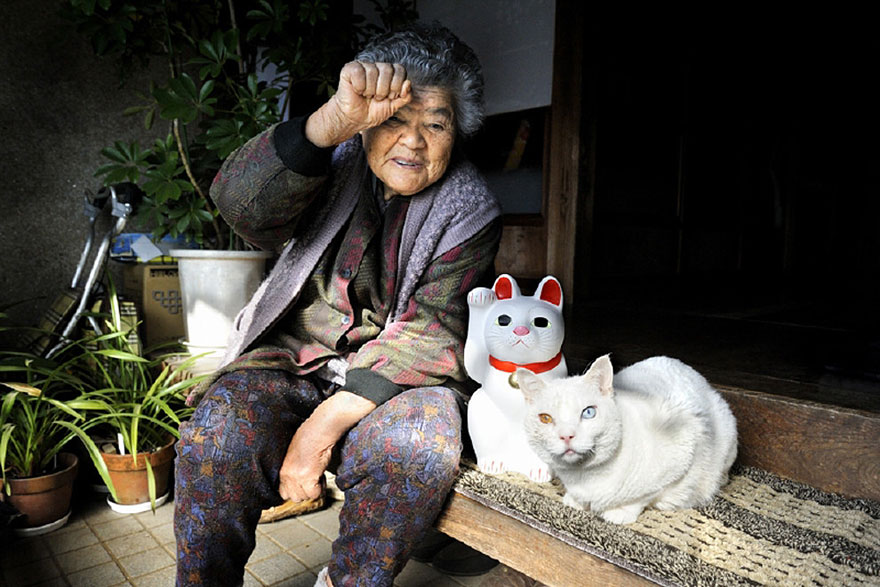 Beautiful Friendship Between a Grandmother and Her Odd-eyed Cat