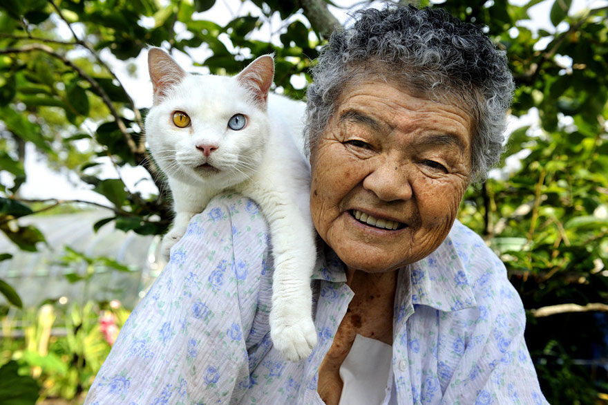 Beautiful Friendship Between a Grandmother and Her Odd-eyed Cat