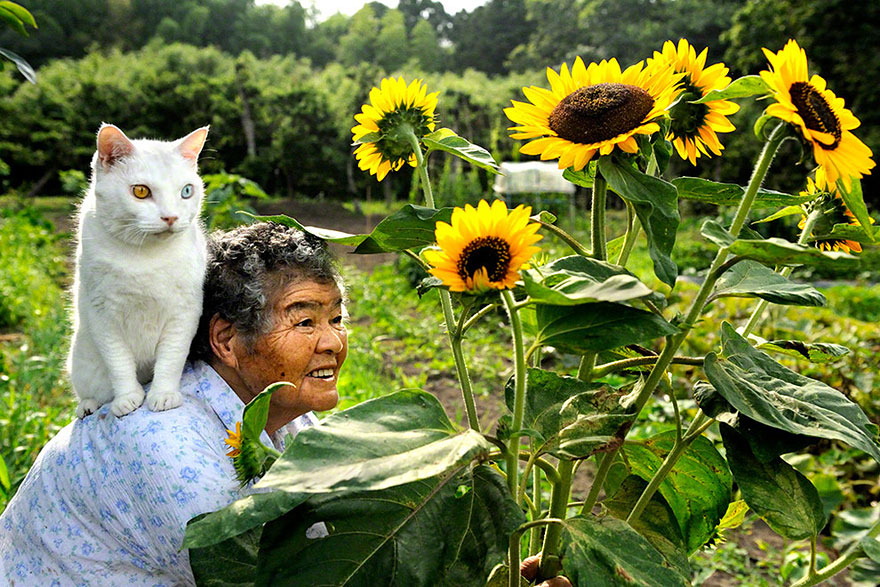 Beautiful Friendship Between a Grandmother and Her Odd-eyed Cat