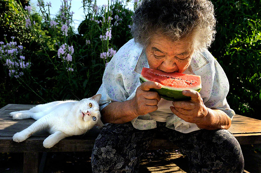 Beautiful Friendship Between a Grandmother and Her Odd-eyed Cat