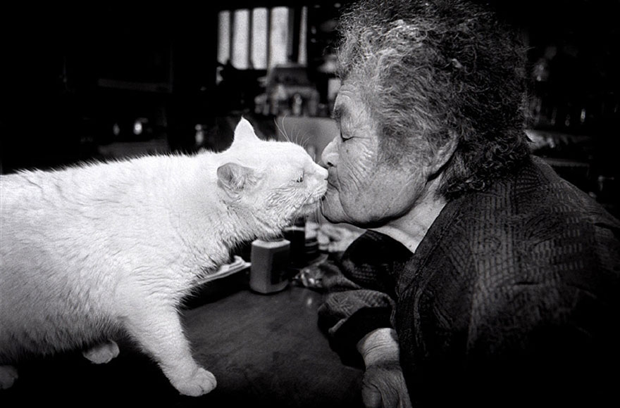 Beautiful Friendship Between a Grandmother and Her Odd-eyed Cat
