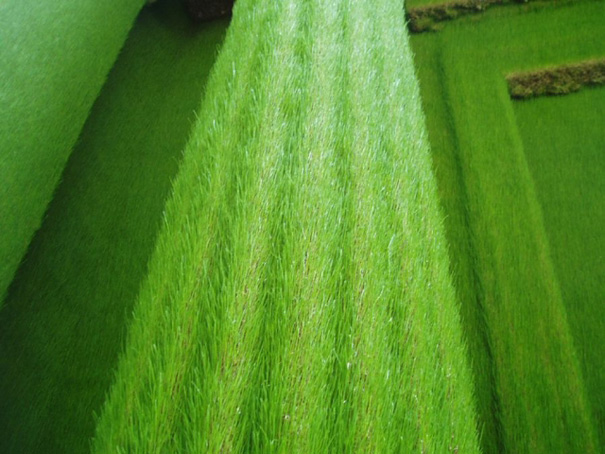 26 Green Design Ideas Inspired By Nature 26 Green Design Ideas Inspired By Nature