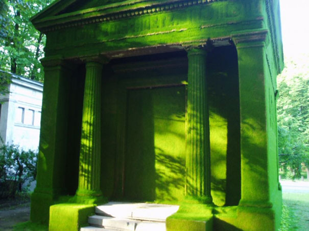 26 Green Design Ideas Inspired By Nature 26 Green Design Ideas Inspired By Nature