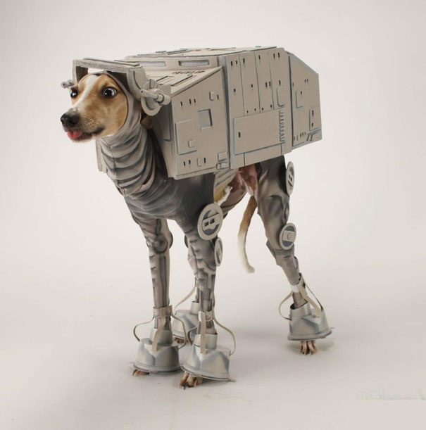 21 Creative and Funny Halloween Costumes For Pets 21 Creative and Funny Halloween Costumes For Pets
