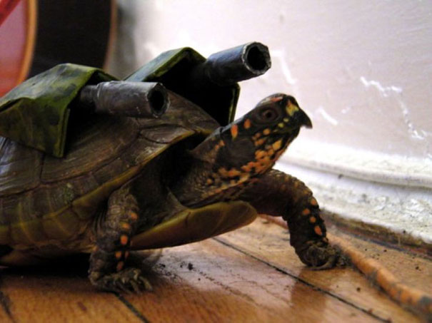 21 Creative and Funny Halloween Costumes For Pets 21 Creative and Funny Halloween Costumes For Pets