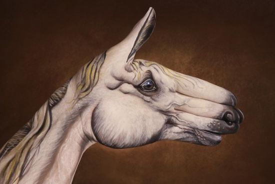 Amazing Hand Painting Art by Guido Daniele Amazing Hand Painting Art by Guido Daniele