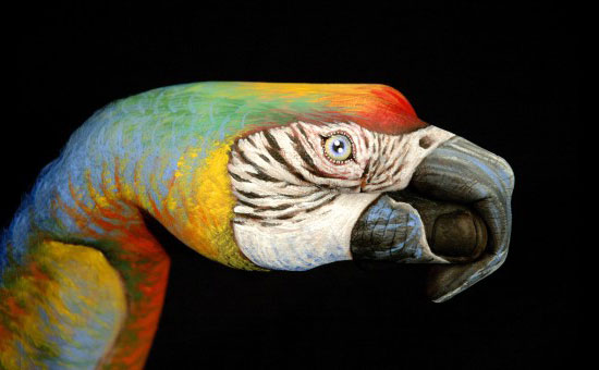 Amazing Hand Painting Art by Guido Daniele Amazing Hand Painting Art by Guido Daniele